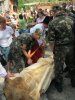 создание поляны сказок в Запорожье